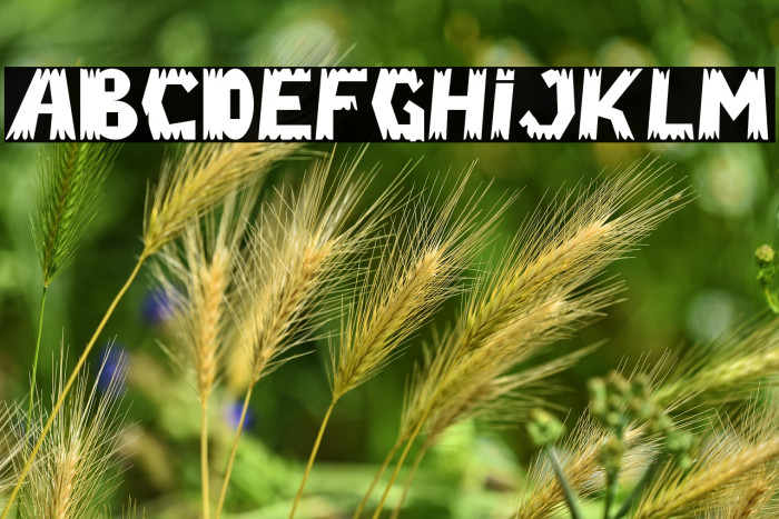 Ghost Zone - Personal Use Example 1