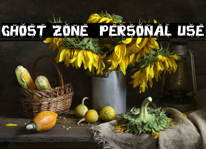 Ghost Zone - Personal Use Example 1