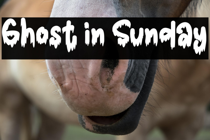 Ghost in Sunday Example 3