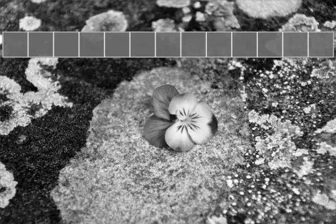 GhostBayou خط examples