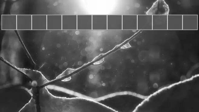 GhostBayou خط examples