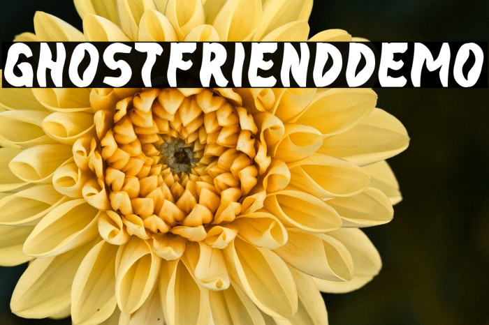 GhostFriendDemo Example 1