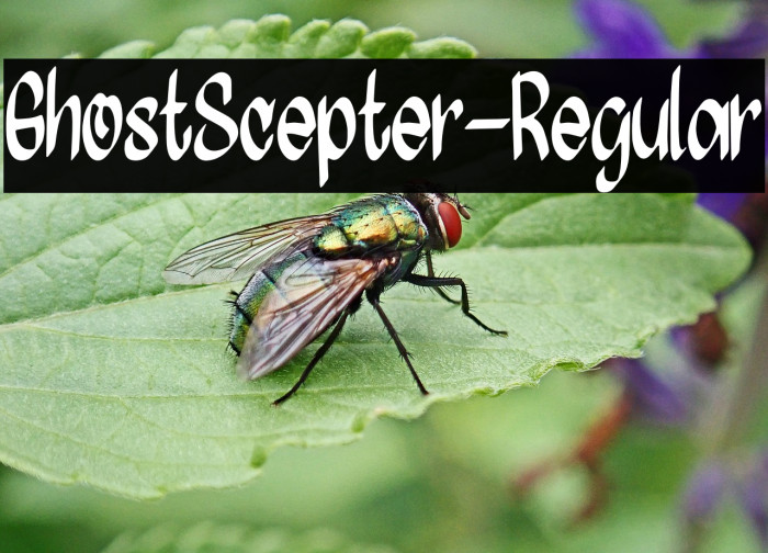 GhostScepter-Regular Example 2