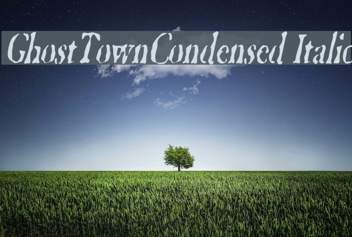 GhostTownCondensed Italic Font examples