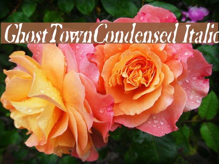 GhostTownCondensed Italic Font examples