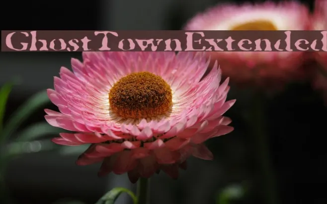 GhostTownExtended Example 2