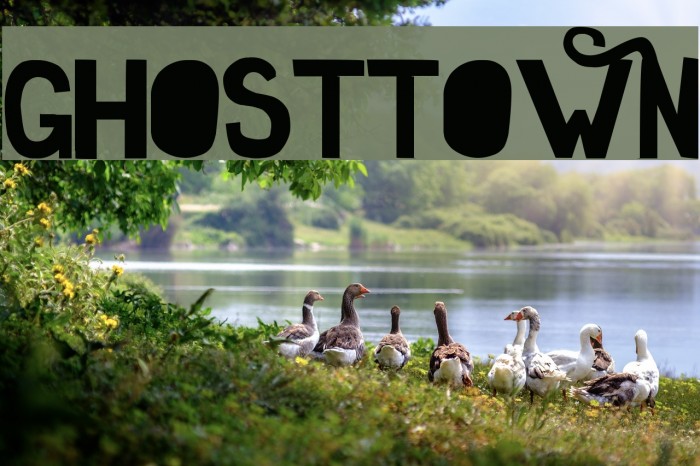 GhostTown Font examples