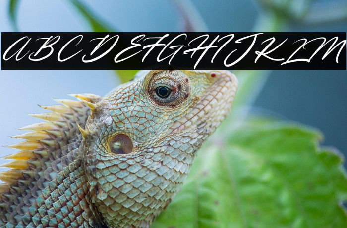 Ghostbusters Example 2