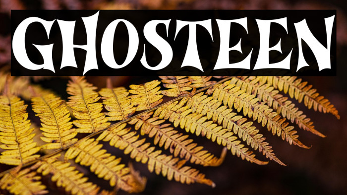 Ghosteen Example 1