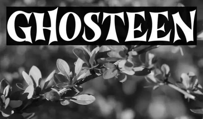 Ghosteen Шрифта examples