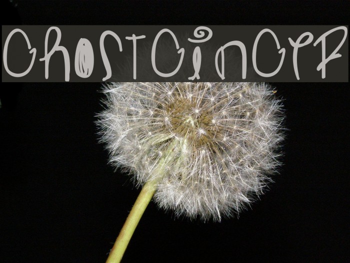 Ghostginger Font examples