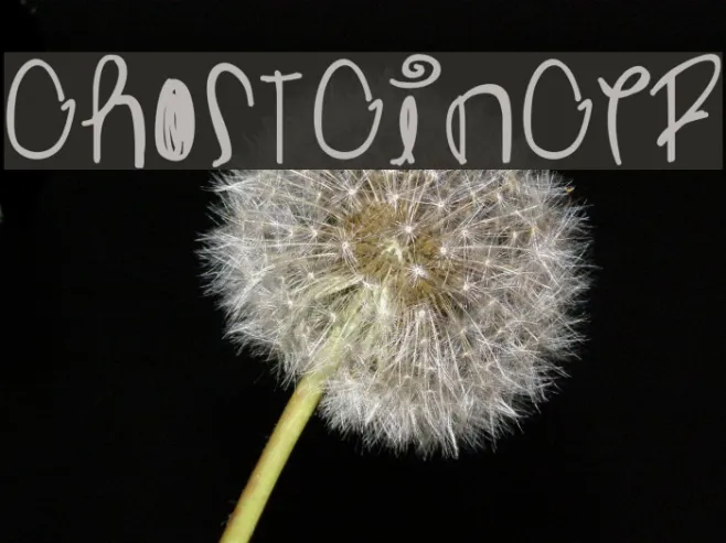 Ghostginger Example 3