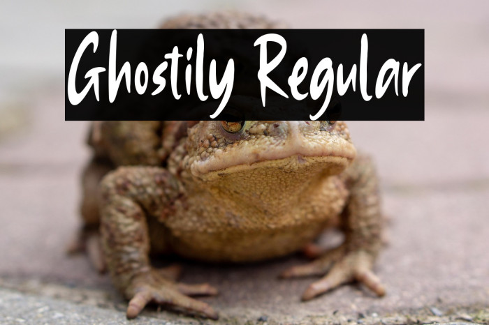 Ghostily Regular Example 2