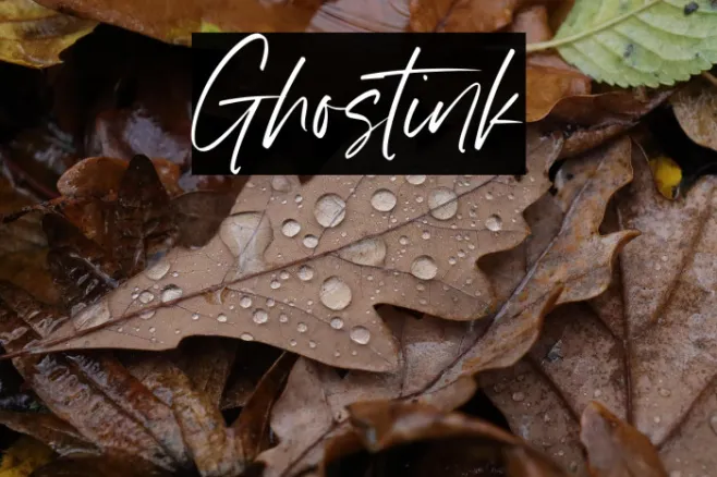 Ghostink Example 1