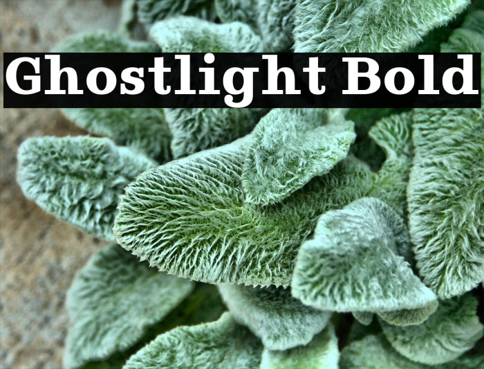 Ghostlight Bold Font examples