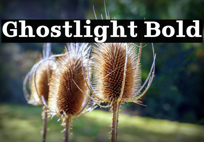 Ghostlight Bold Font examples
