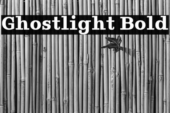 Ghostlight Bold Polices examples