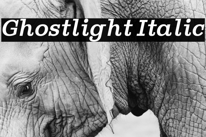 Ghostlight Italic Font examples