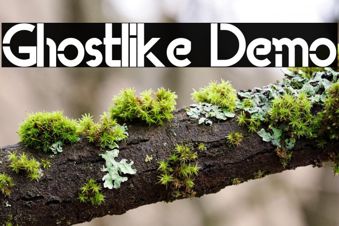 Ghostlike Demo Example 3