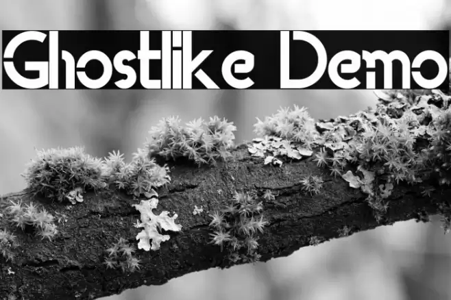 Ghostlike Demo Font examples