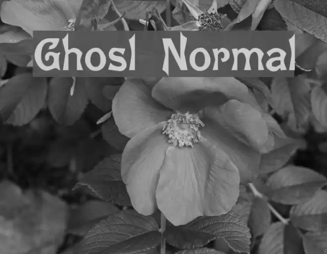 Ghostly Normal Font examples