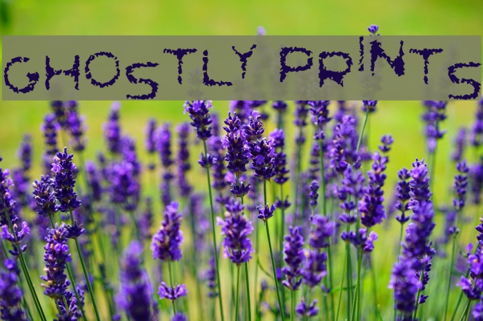 Ghostly Prints Font examples