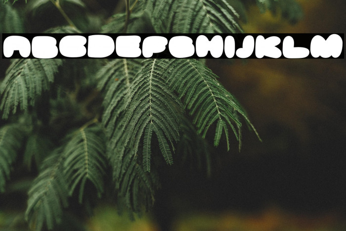 GhostmeatBack-Regular Example 1