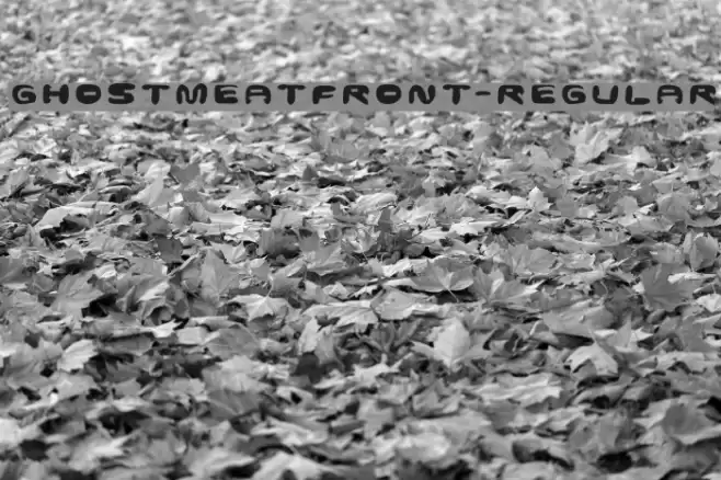 GhostmeatFront-Regular Font examples
