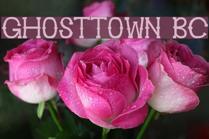Ghosttown BC Font examples