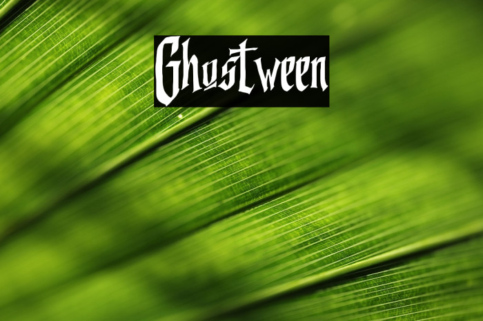 Ghostween Example 3