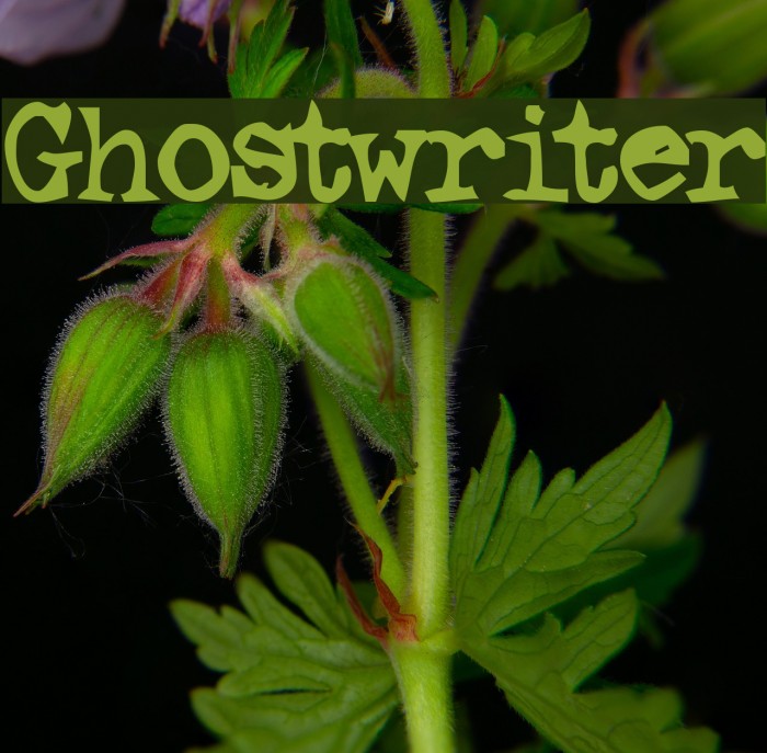 Ghostwriter Font examples