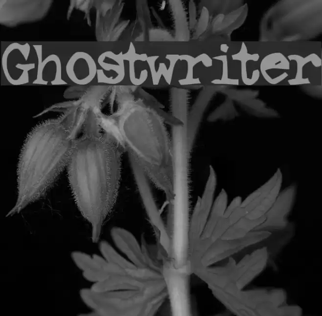 Ghostwriter Fonte examples