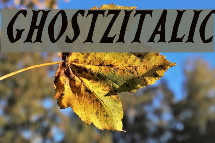 Ghostz Italic Font examples