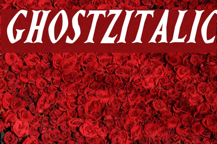 Ghostz Italic Font examples