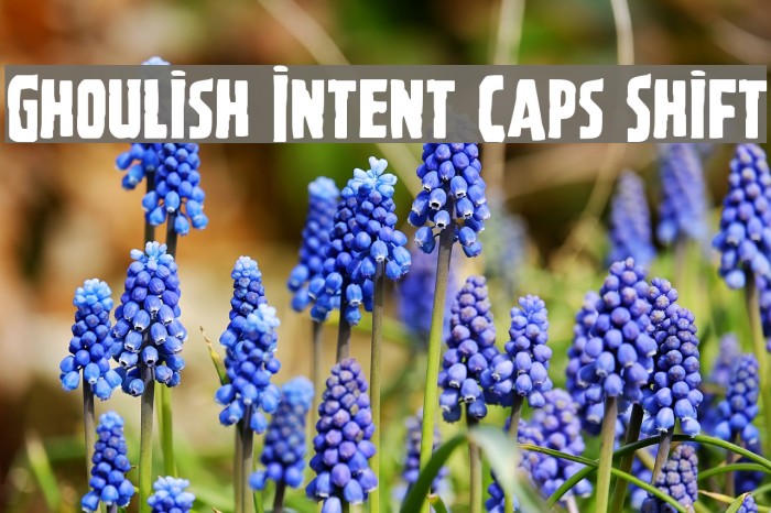 Ghoulish Intent Caps Shift Font examples