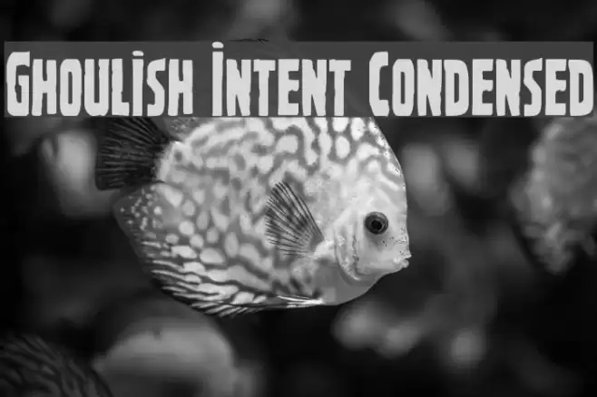 Ghoulish Intent Condensed Font examples