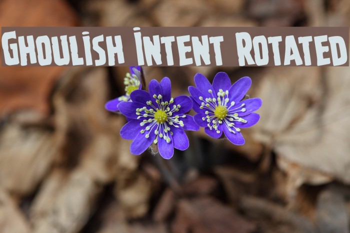 Ghoulish Intent Rotated Example 2