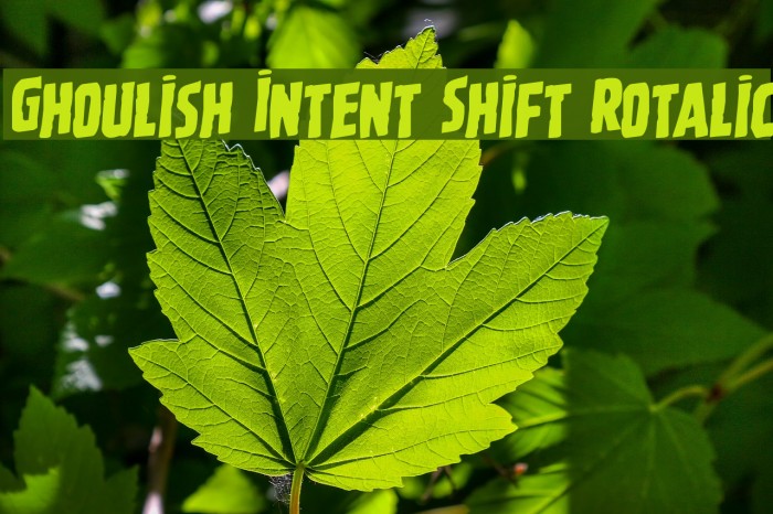 Ghoulish Intent Shift Rotalic Font examples