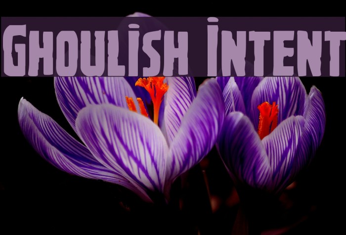 Ghoulish Intent Font examples