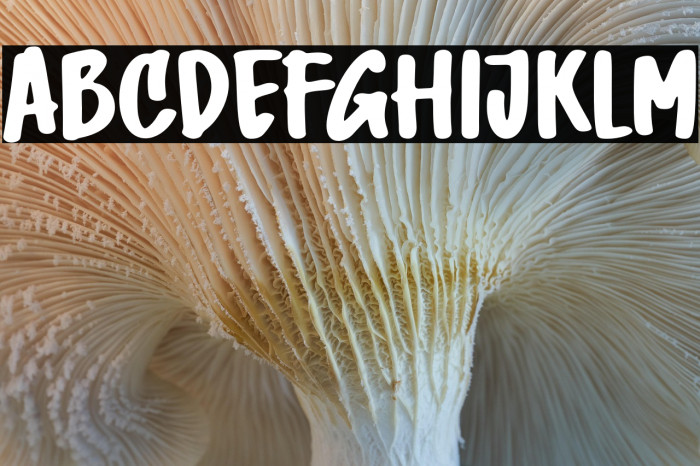 GhoustSolid Example 2