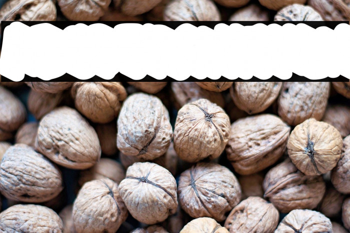 Ghoustshadow-Regular Example 2