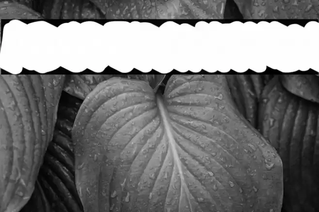 Ghoustshadow-Regular Font examples