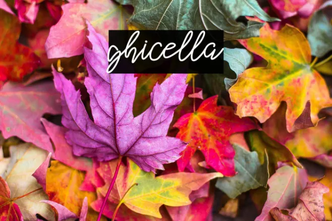 ghicella Example 2