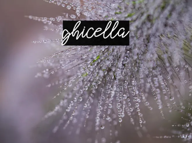 ghicella Example 3
