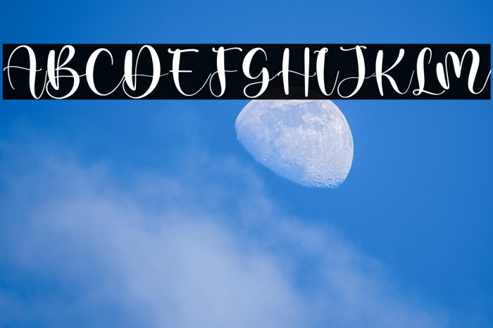 ghisel honey Example 2