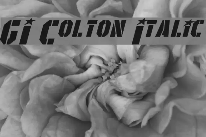 GI Colton Italic Font examples