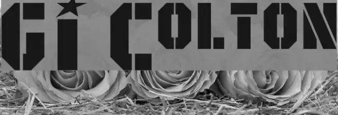 GI Colton Font examples