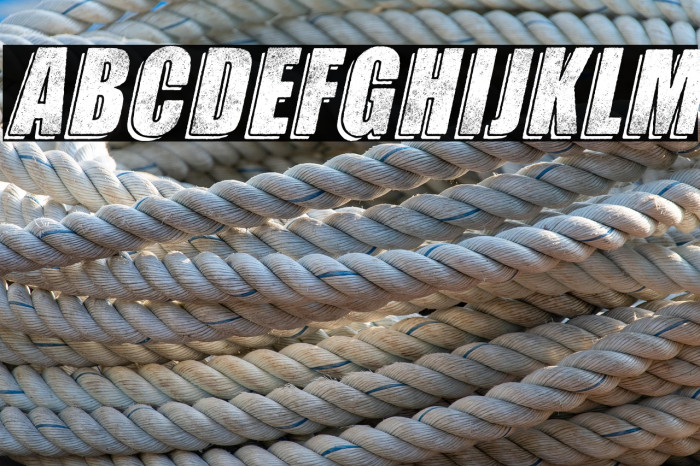 GIANTS ITALIC PERSONAL USE Bold Italic Example 3