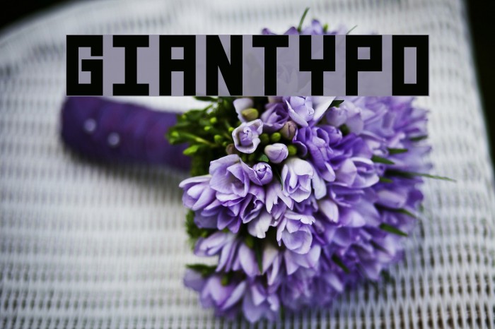 GIANTYPO Font examples