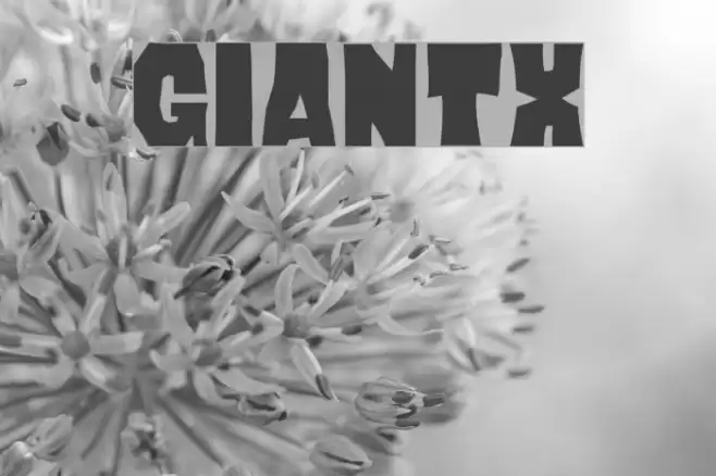 GIANtX Font examples